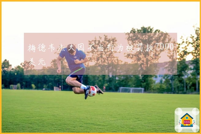 梅德韦杰夫因不当行为被罚款7000美元